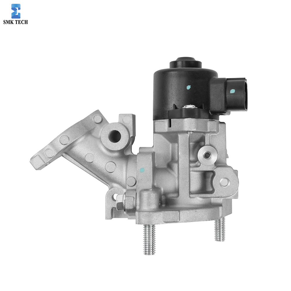 EGR & Inlaat Reiniging